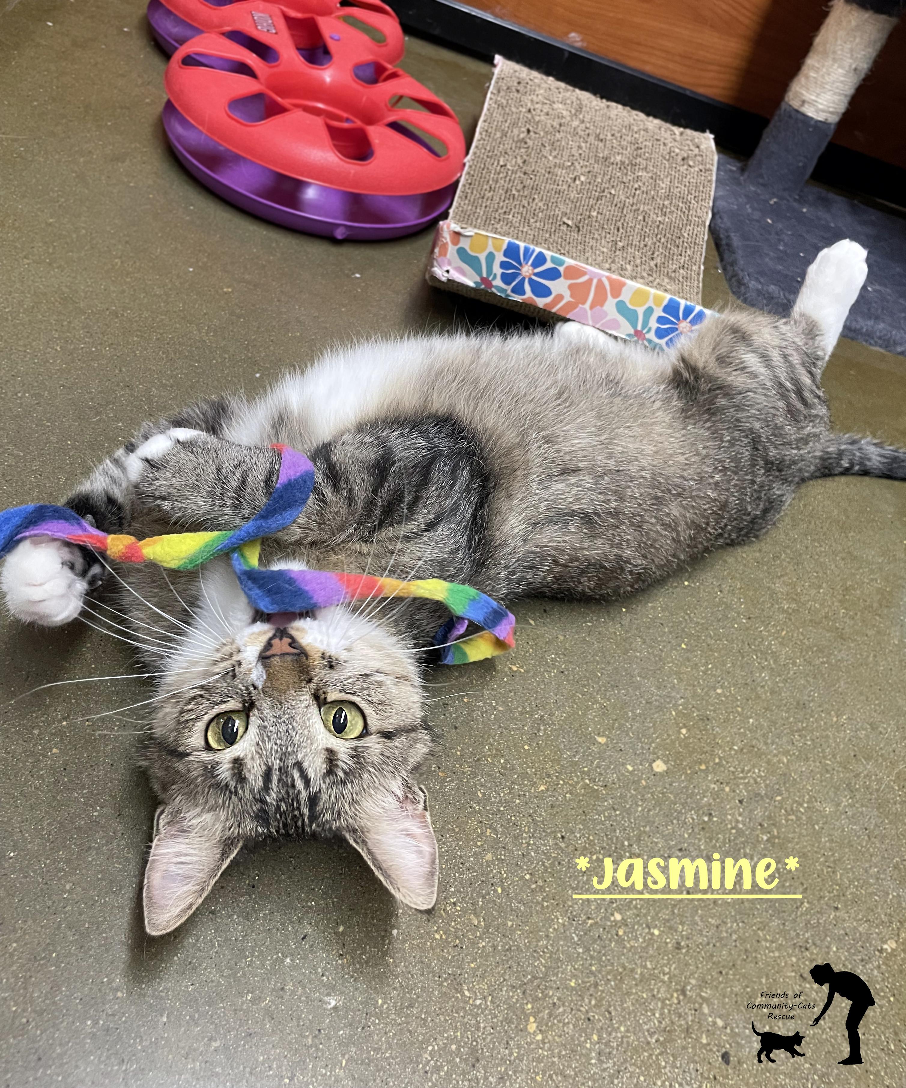 Adoption Event