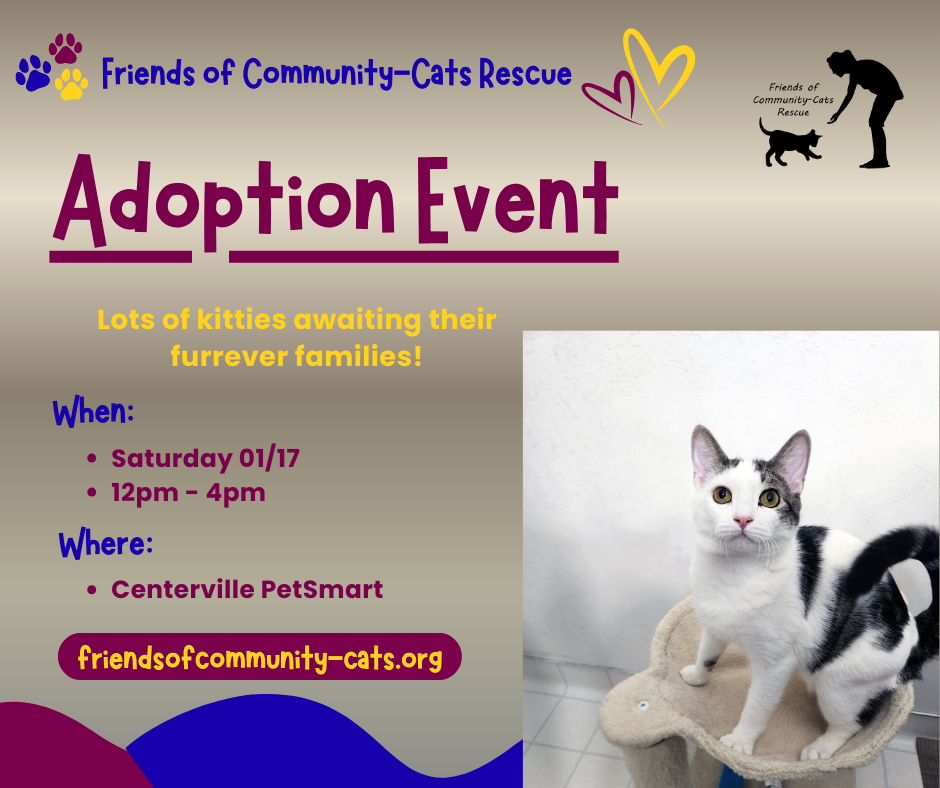 Adoption Event Post1(1)