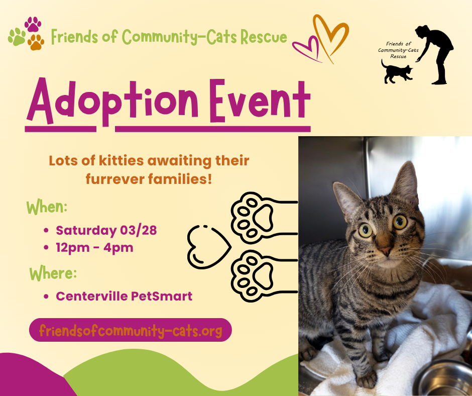 Copy of Adoption Event Post1