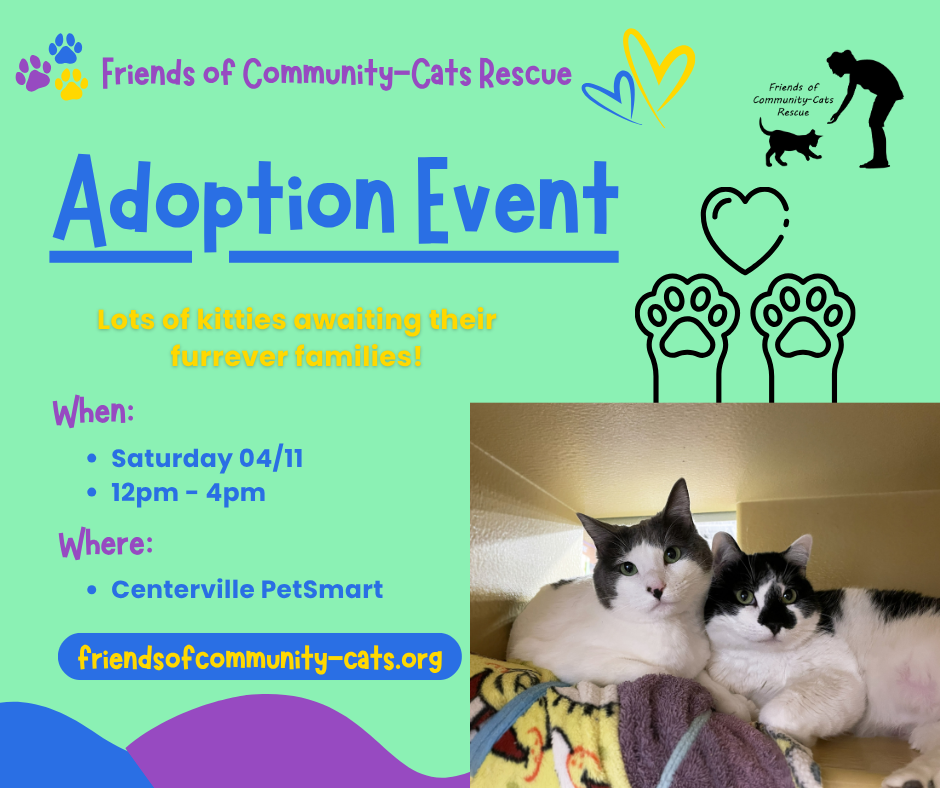 Copy of Adoption Event Post1