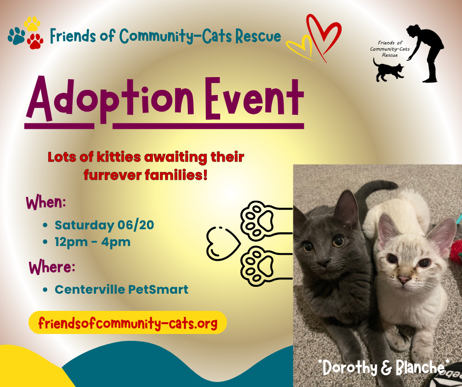 Copy of Adoption Event Post1(1)